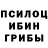 Псилоцибиновые грибы Magic Shrooms Ruskan 19